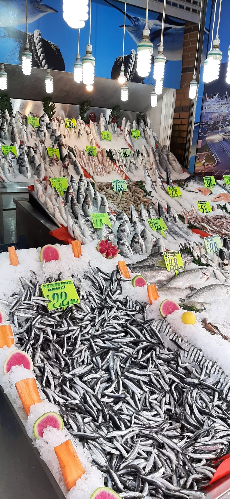 Şen Balıkçı Pişirme Evi