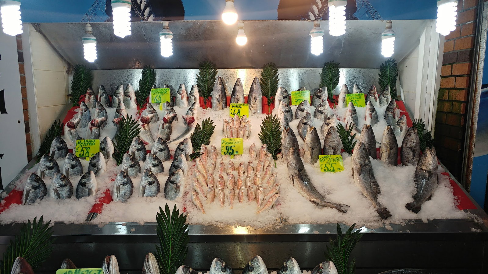 Şen Balıkçı Pişirme Evi