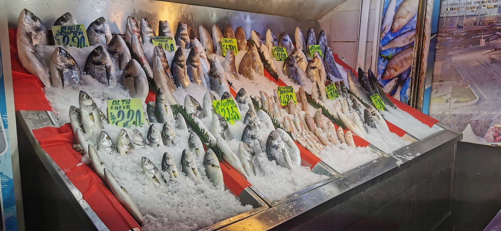 Şen Balıkçı Pişirme Evi