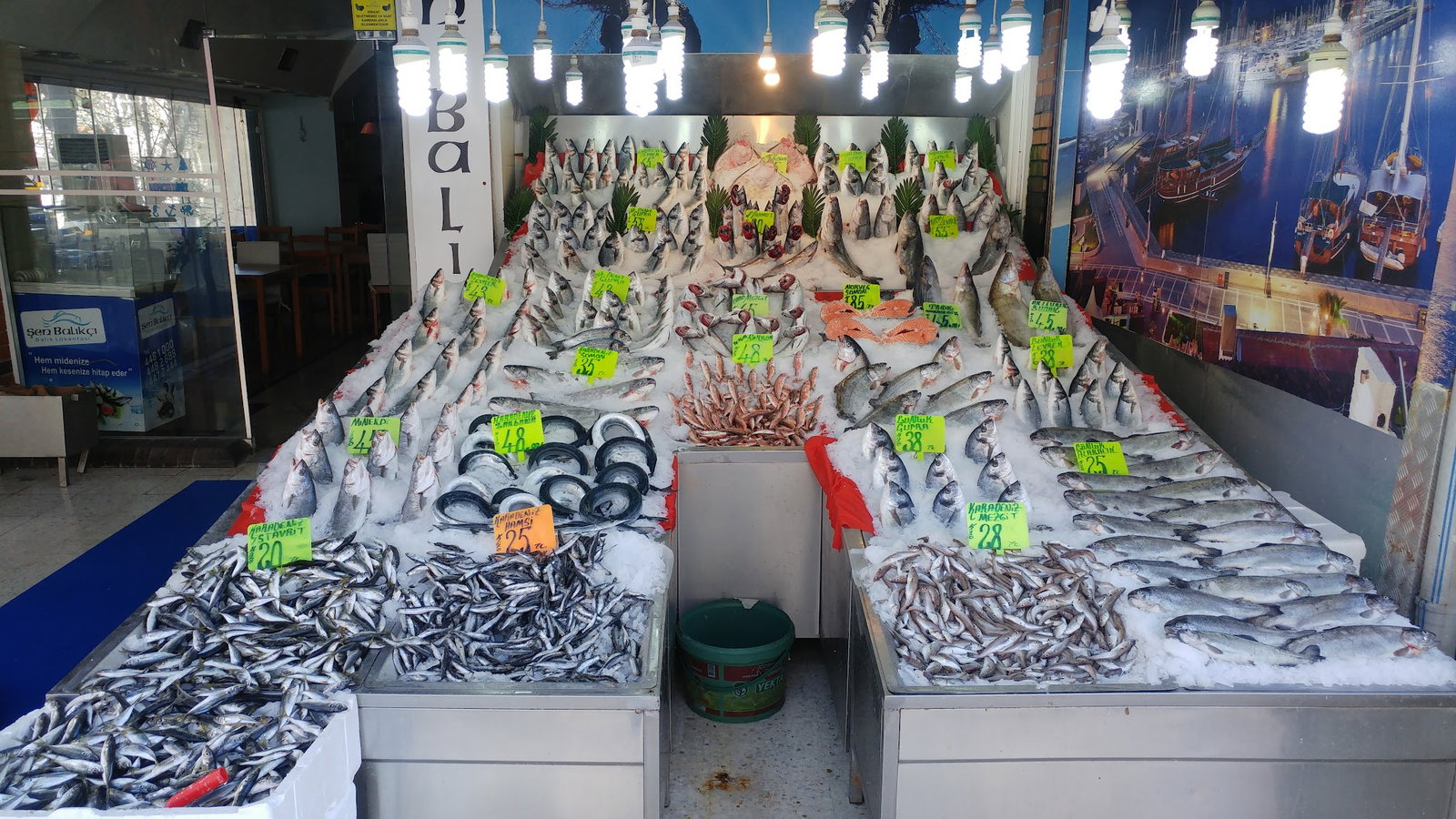 Şen Balıkçı Pişirme Evi