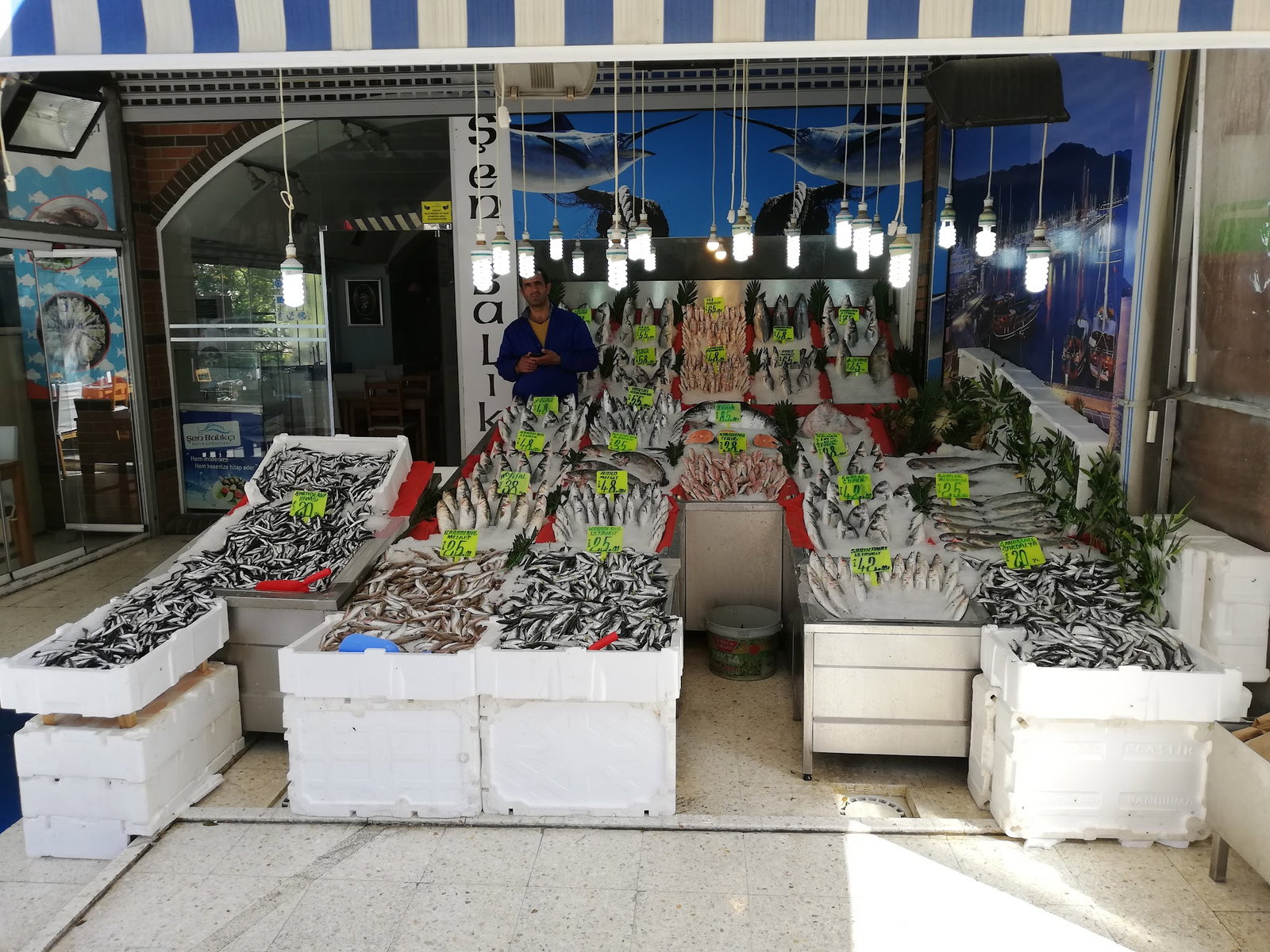 Şen Balıkçı Pişirme Evi