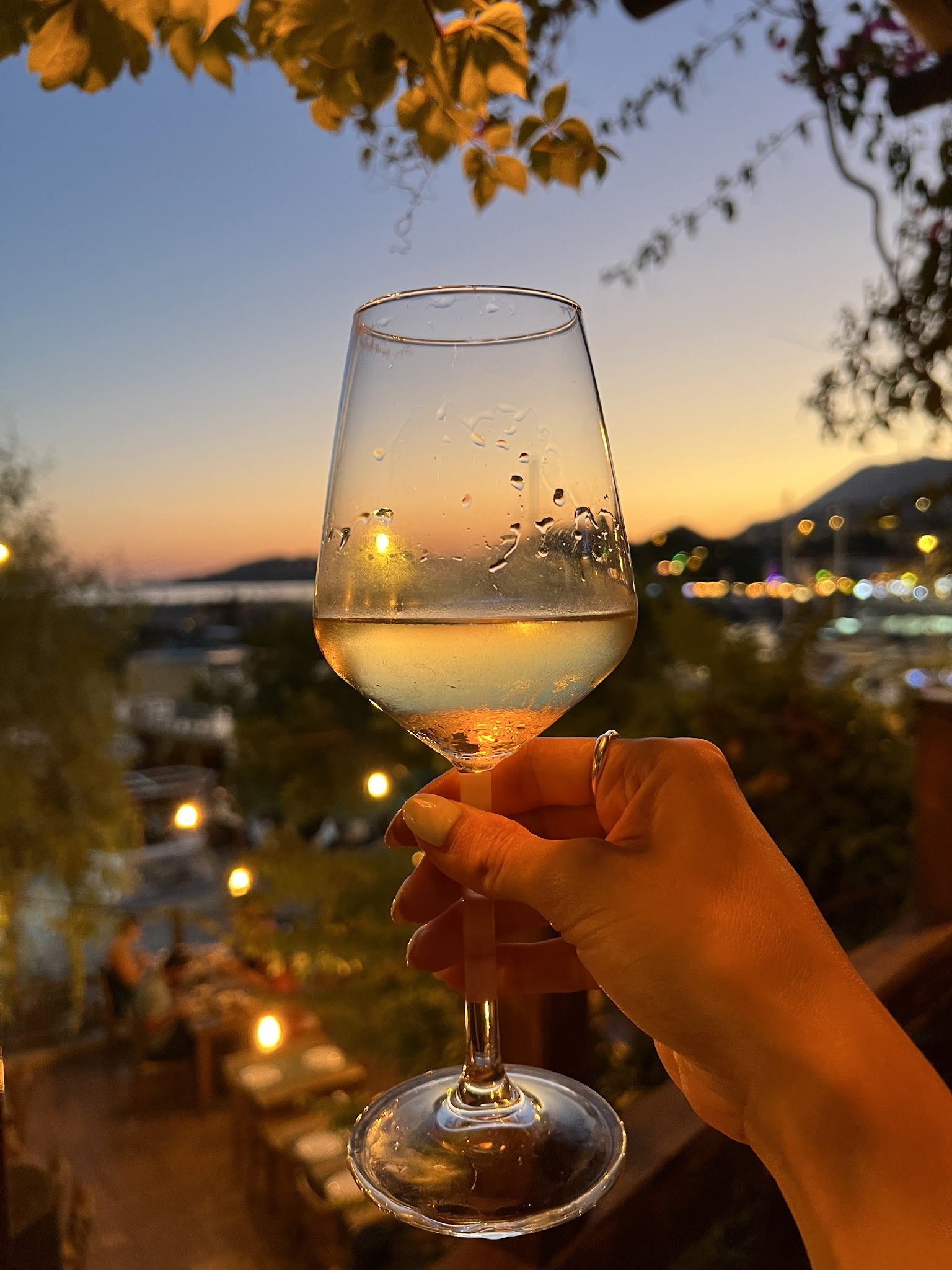 Sahra Uygur Restaurant/Sahra面馆/中餐