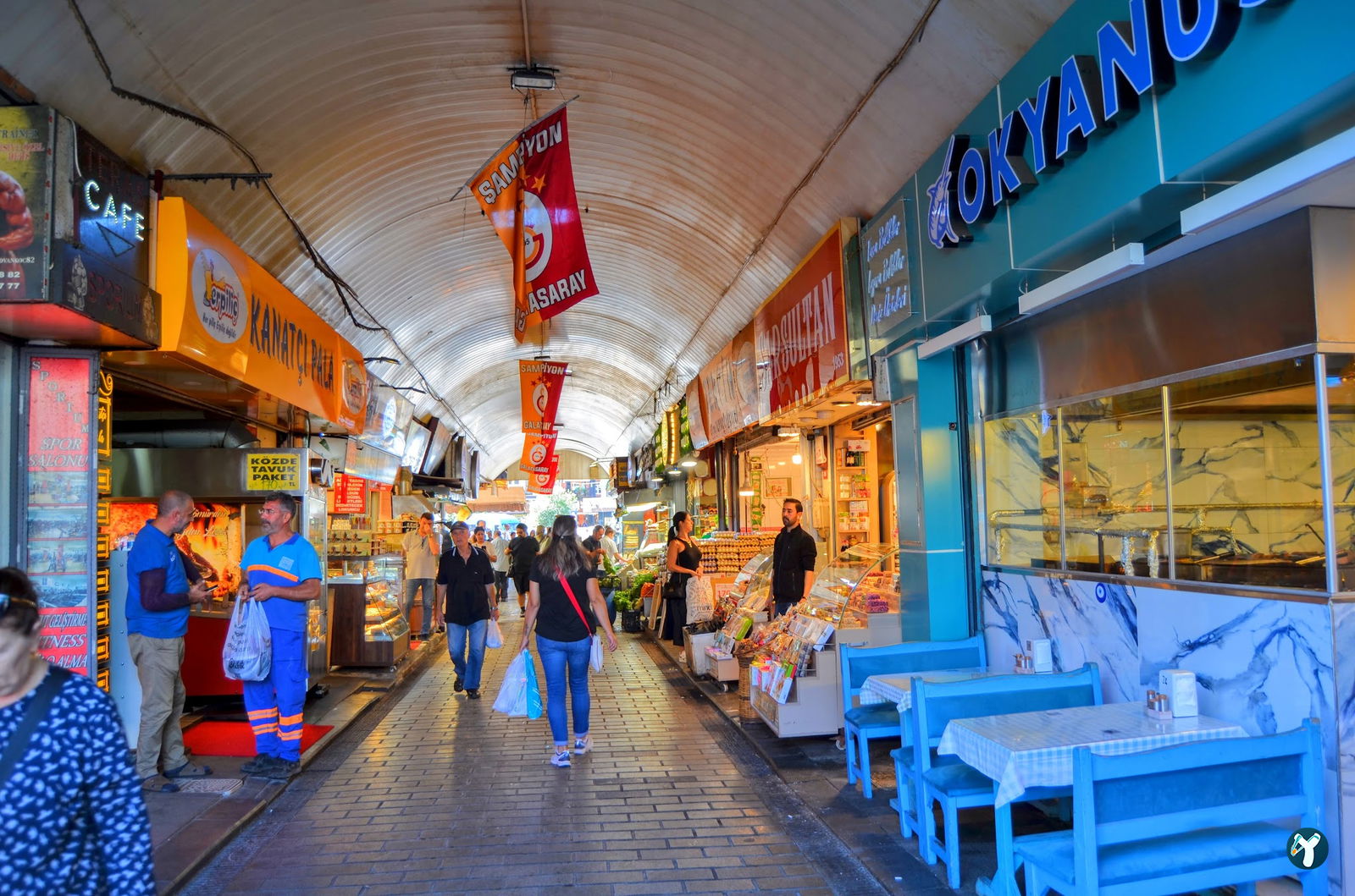 Kanatçı Pala