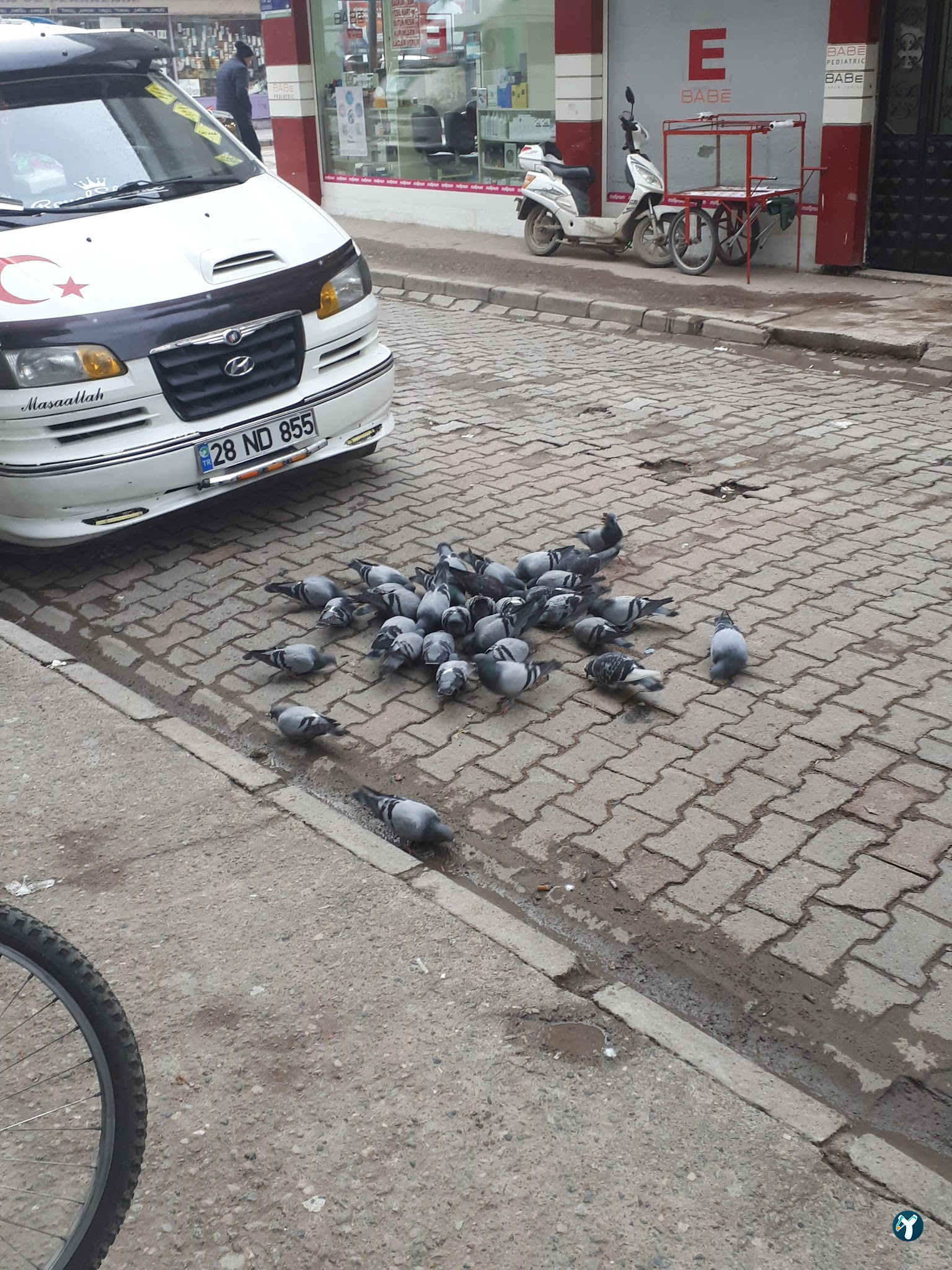 Köşem Lokantası