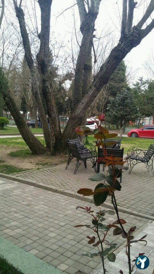 The Cars Cafe (Eski Prestij Cafe)