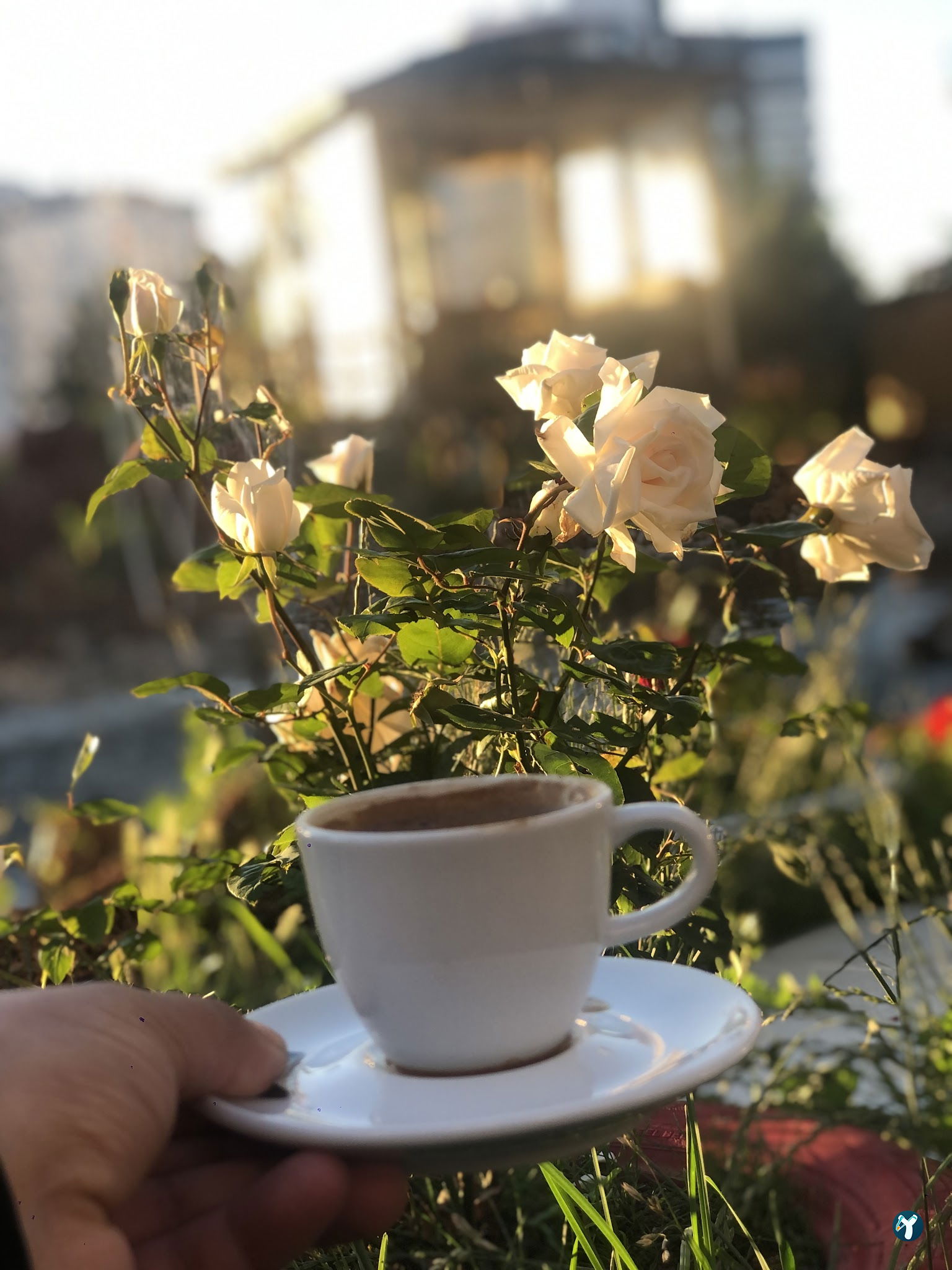 Bahçeli Cafe & Restaurant
