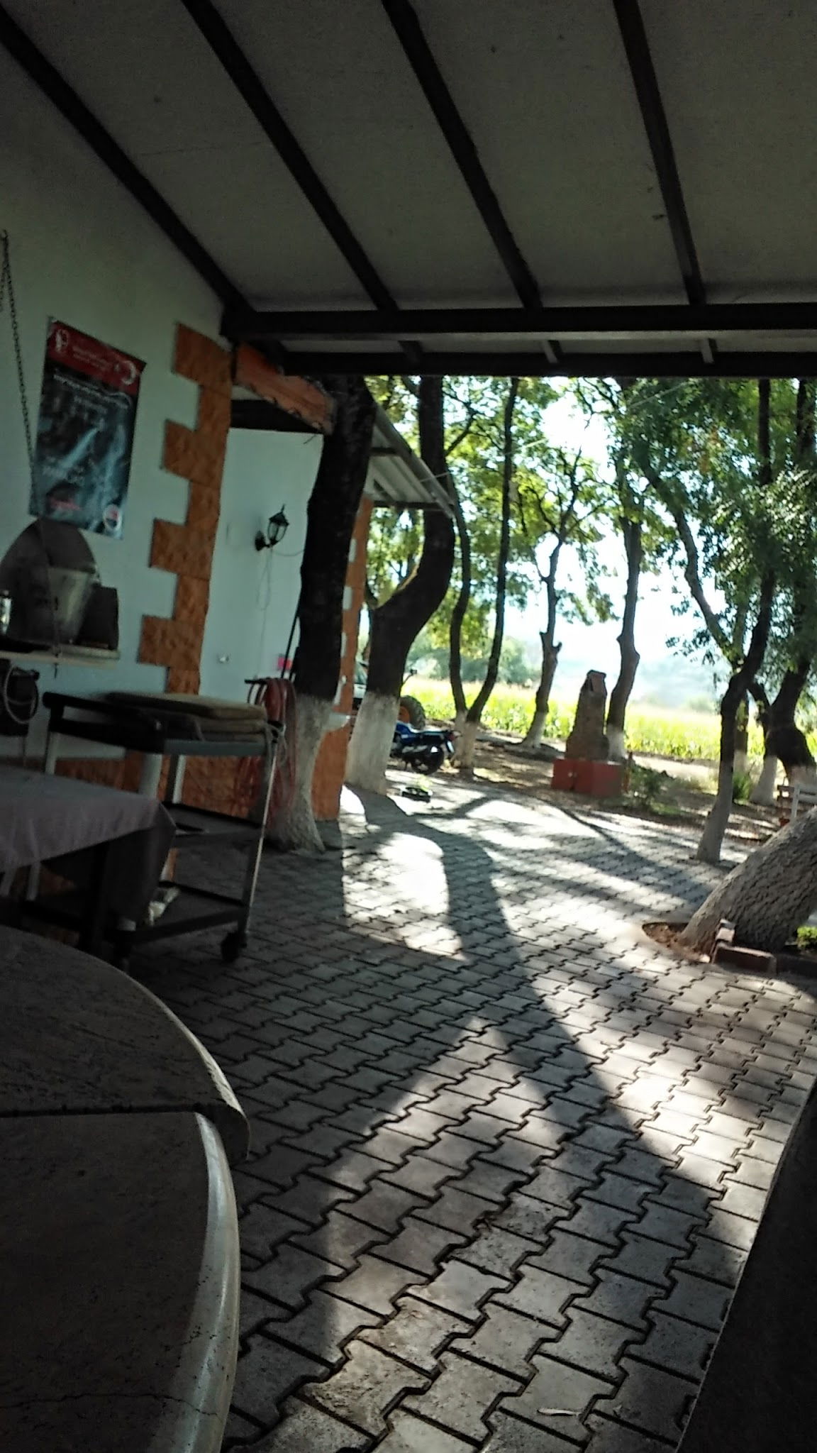 Çınar Restaurant Ve Kır Bahçesi