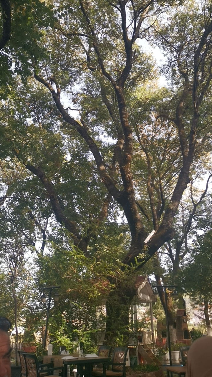 Çınar Restaurant Ve Kır Bahçesi