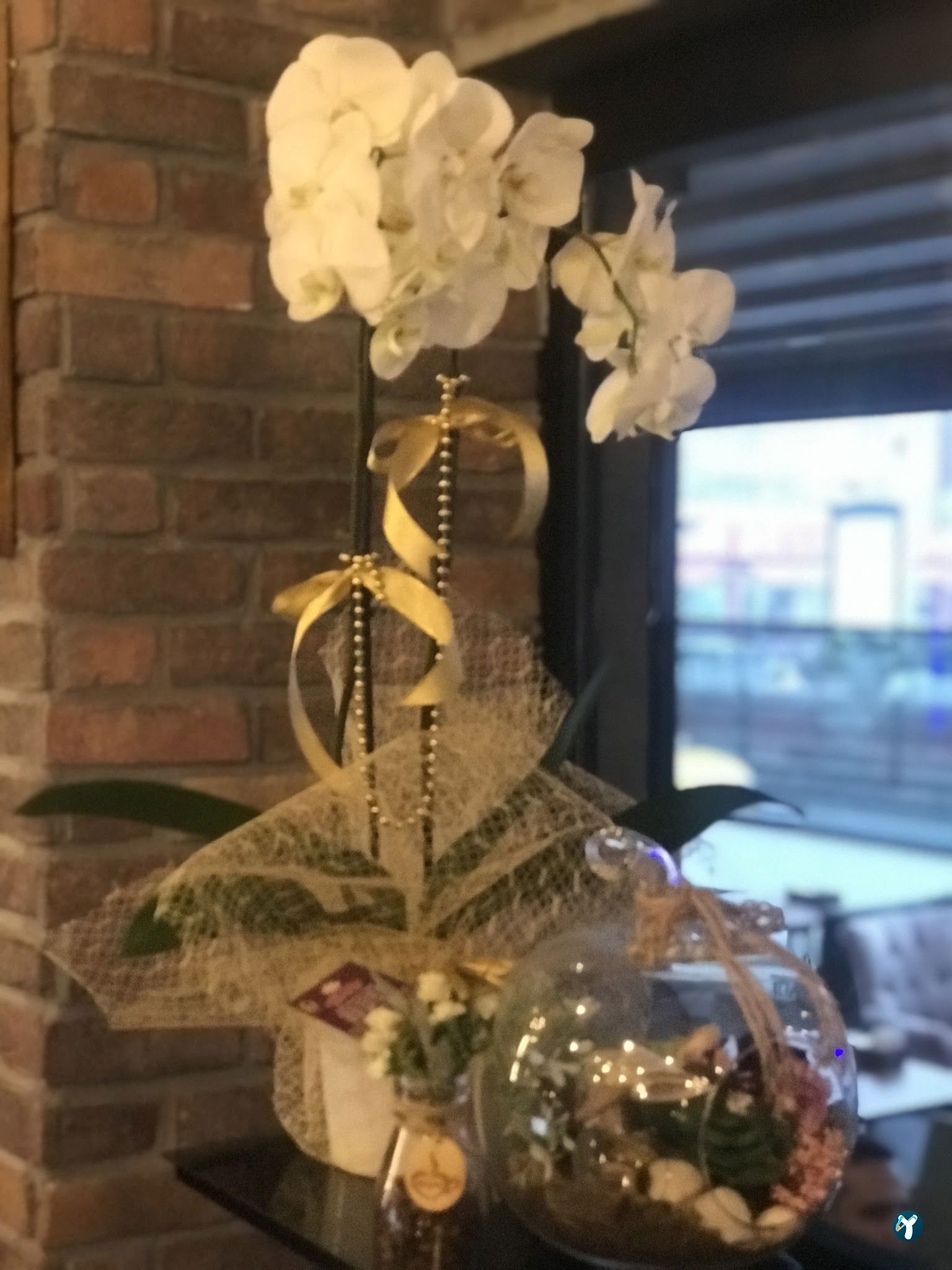Neşve Cafe Restaurant