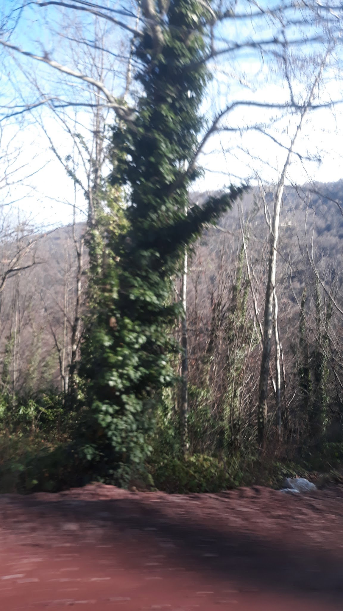 Kardeşler Pide Lahmacun