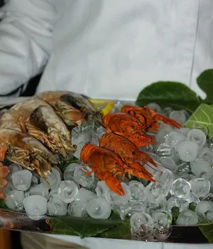 Bi' Masa resimleri