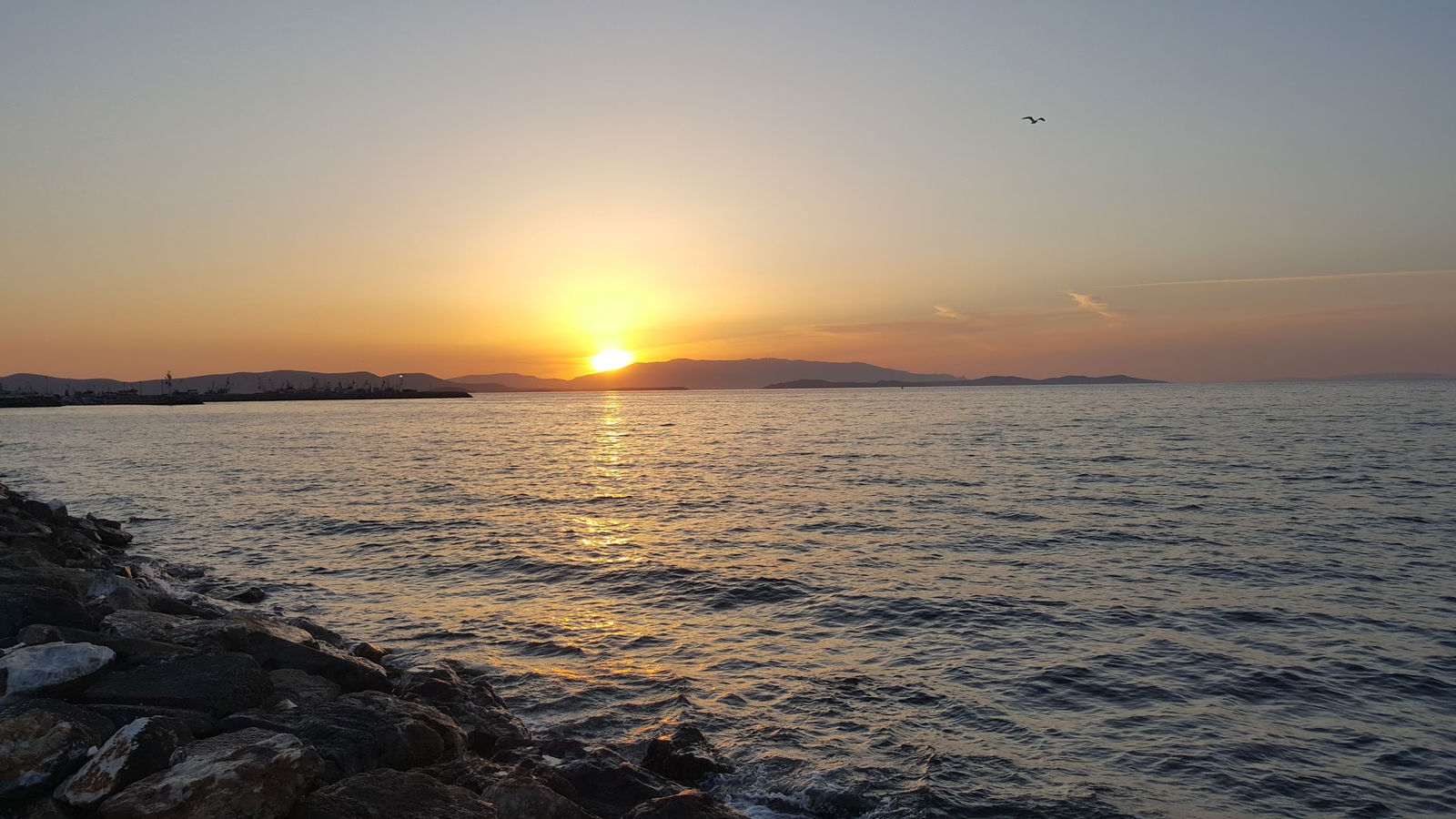 Yağmur Balık Ekmek