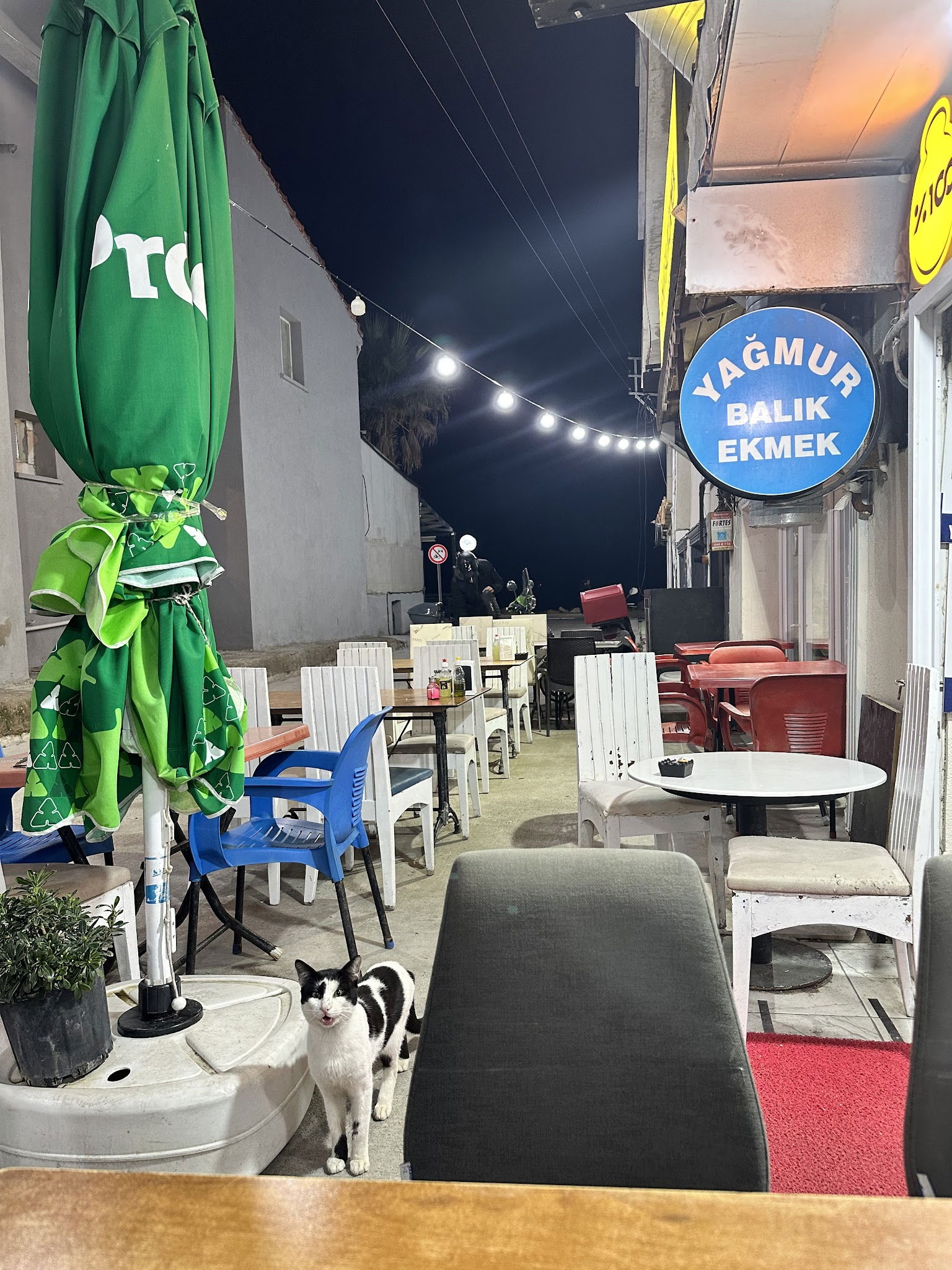 Yağmur Balık Ekmek