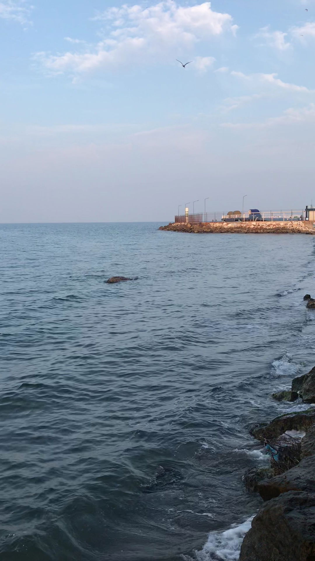 Yağmur Balık Ekmek