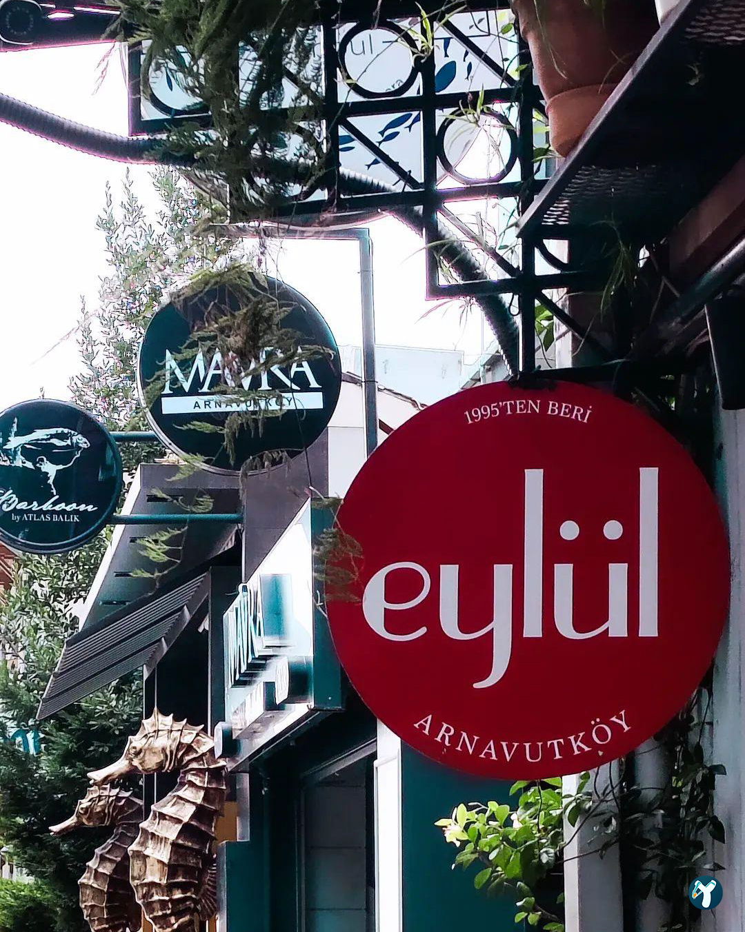 Eylül Arnavutköy