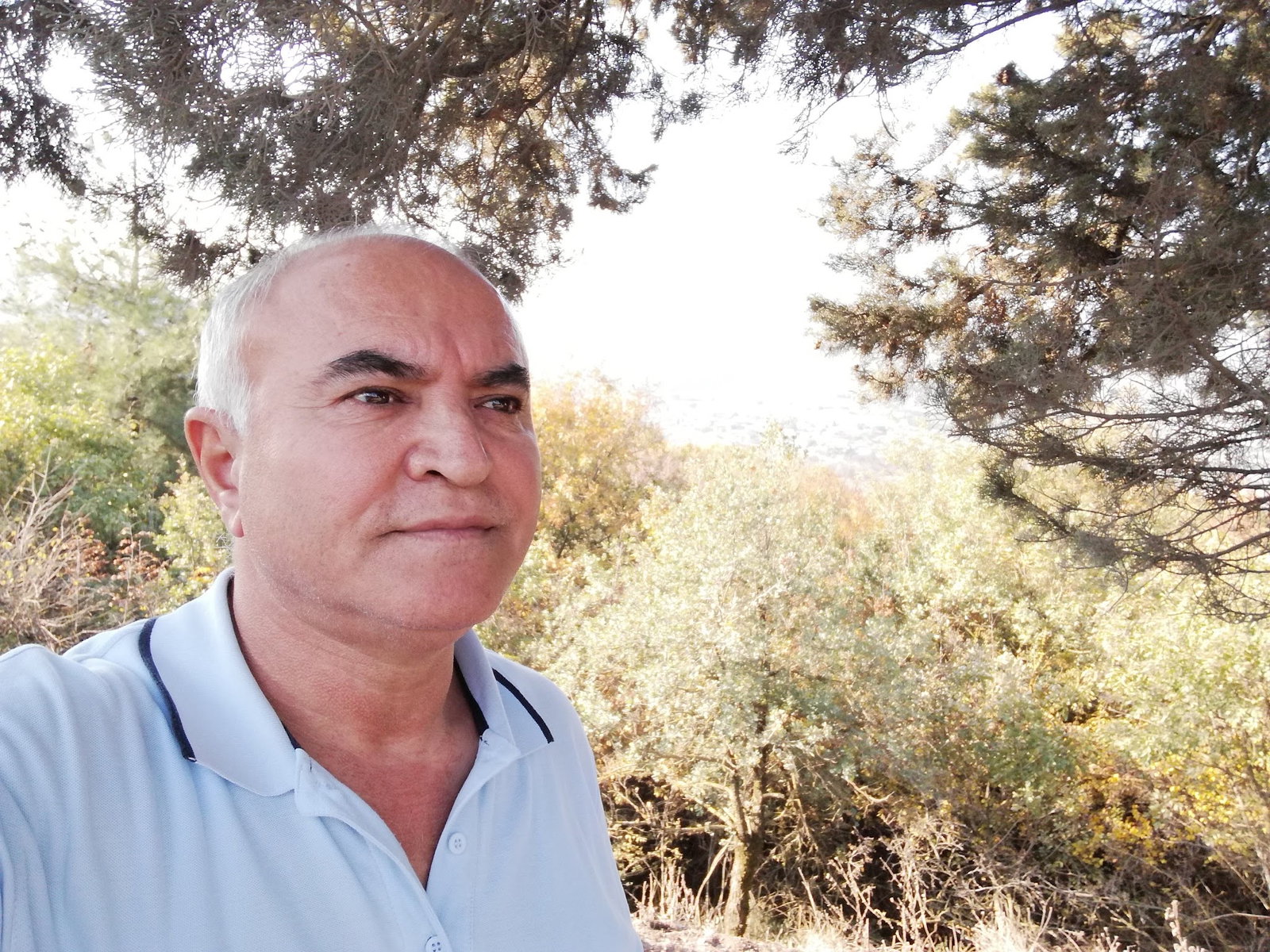 Bandırma Lokmacısı