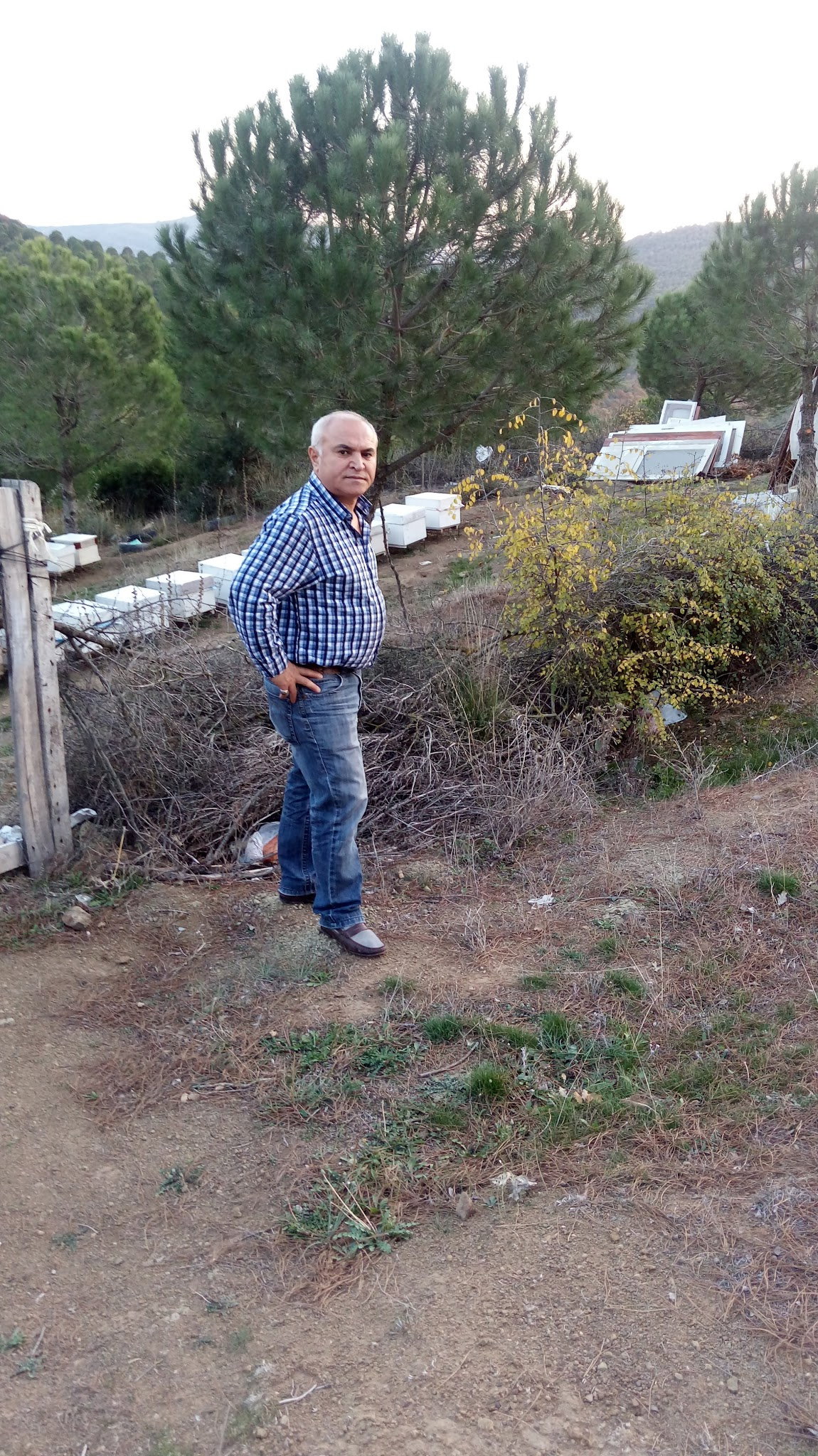 Bandırma Lokmacısı