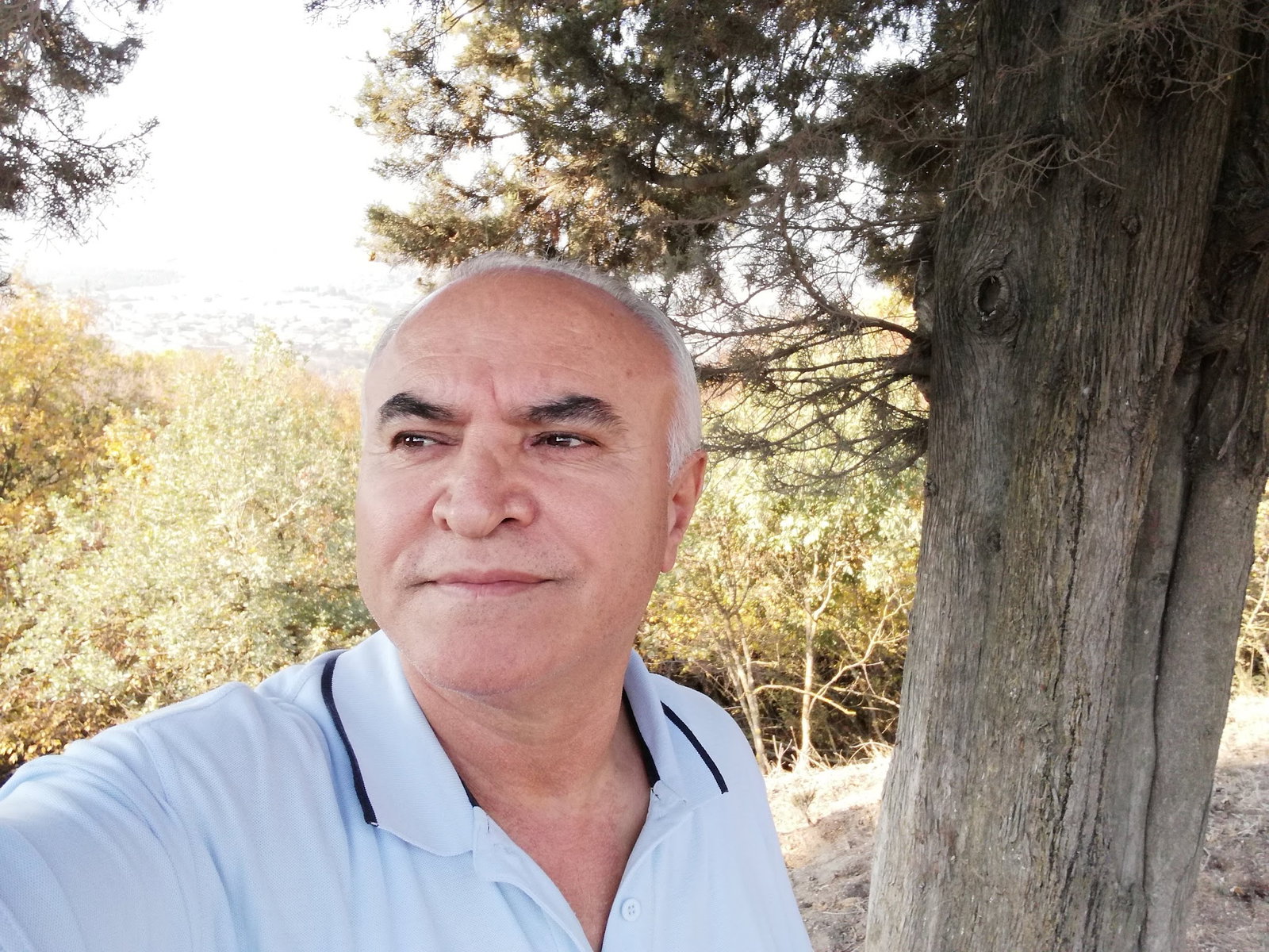 Bandırma Lokmacısı