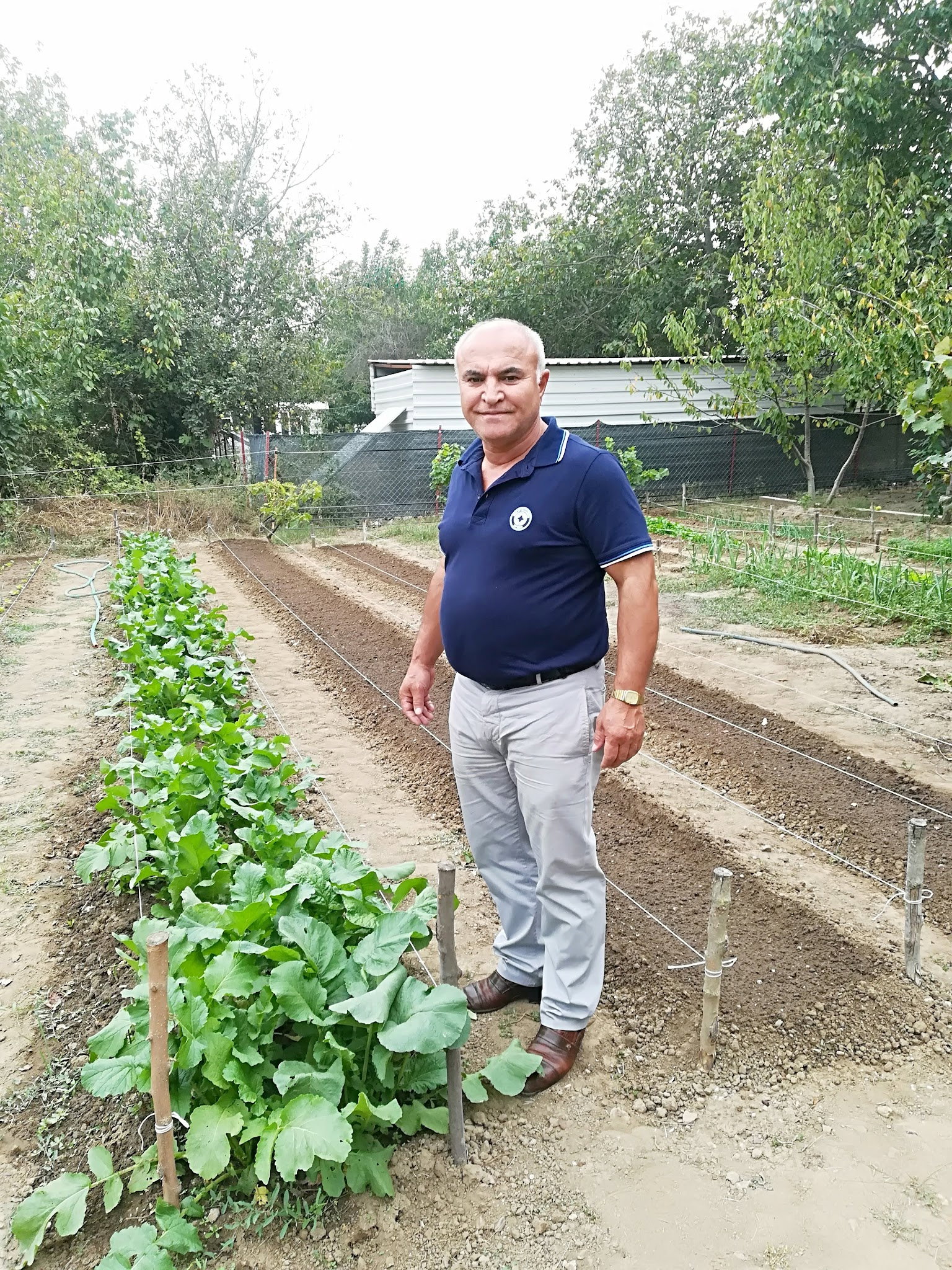 Bandırma Lokmacısı