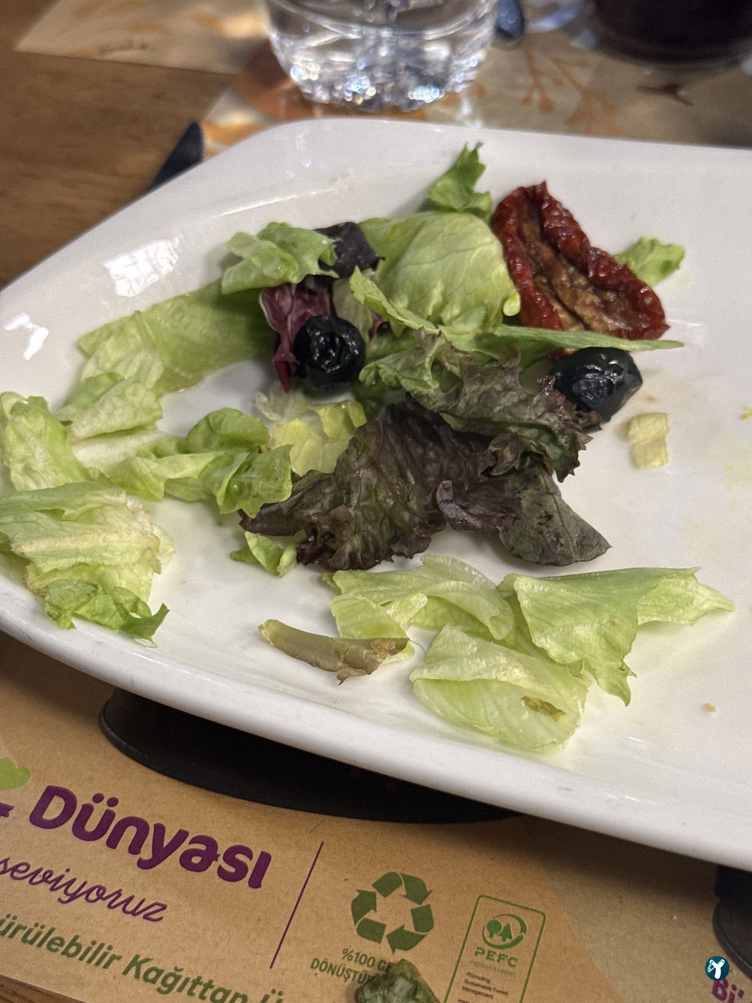 Tavuk Dünyası Avlu 34