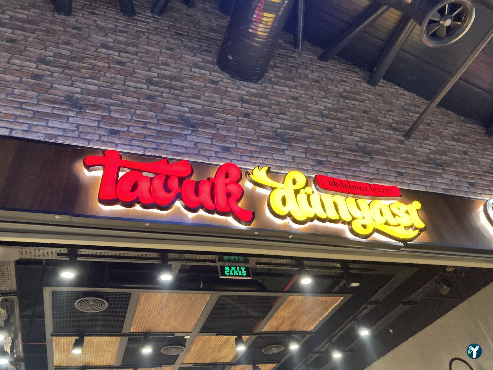 Tavuk Dünyası Avlu 34