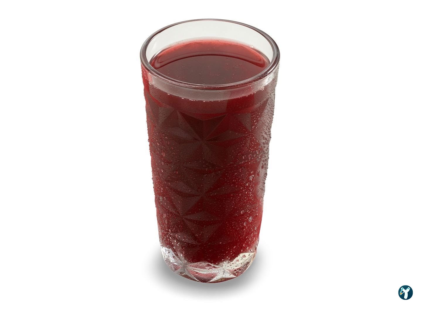 Tavuk Dünyası Avlu 34