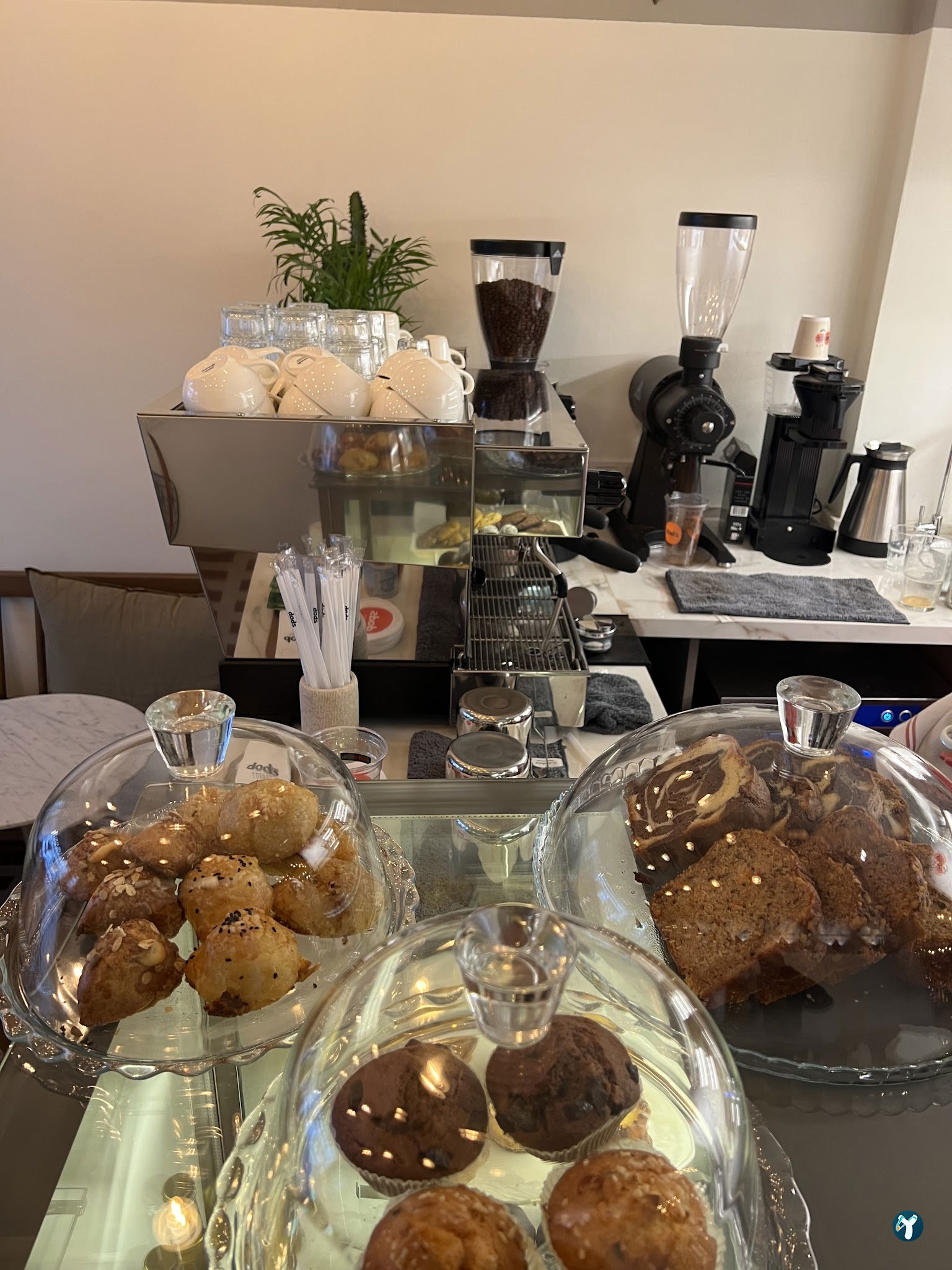 Dods Coffee