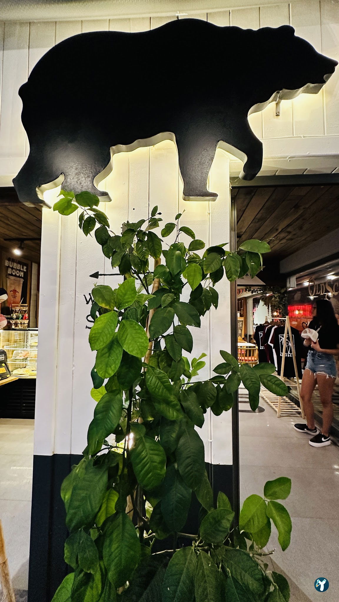 Mackbear Coffee Co. (Antalya/Konyaaltı)