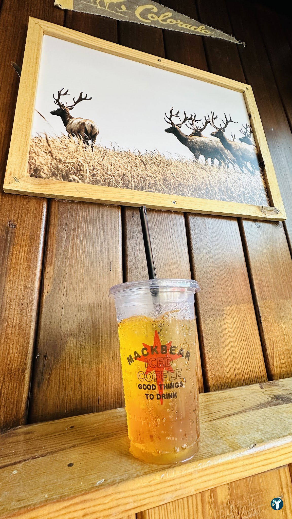 Mackbear Coffee Co. (Antalya/Konyaaltı)