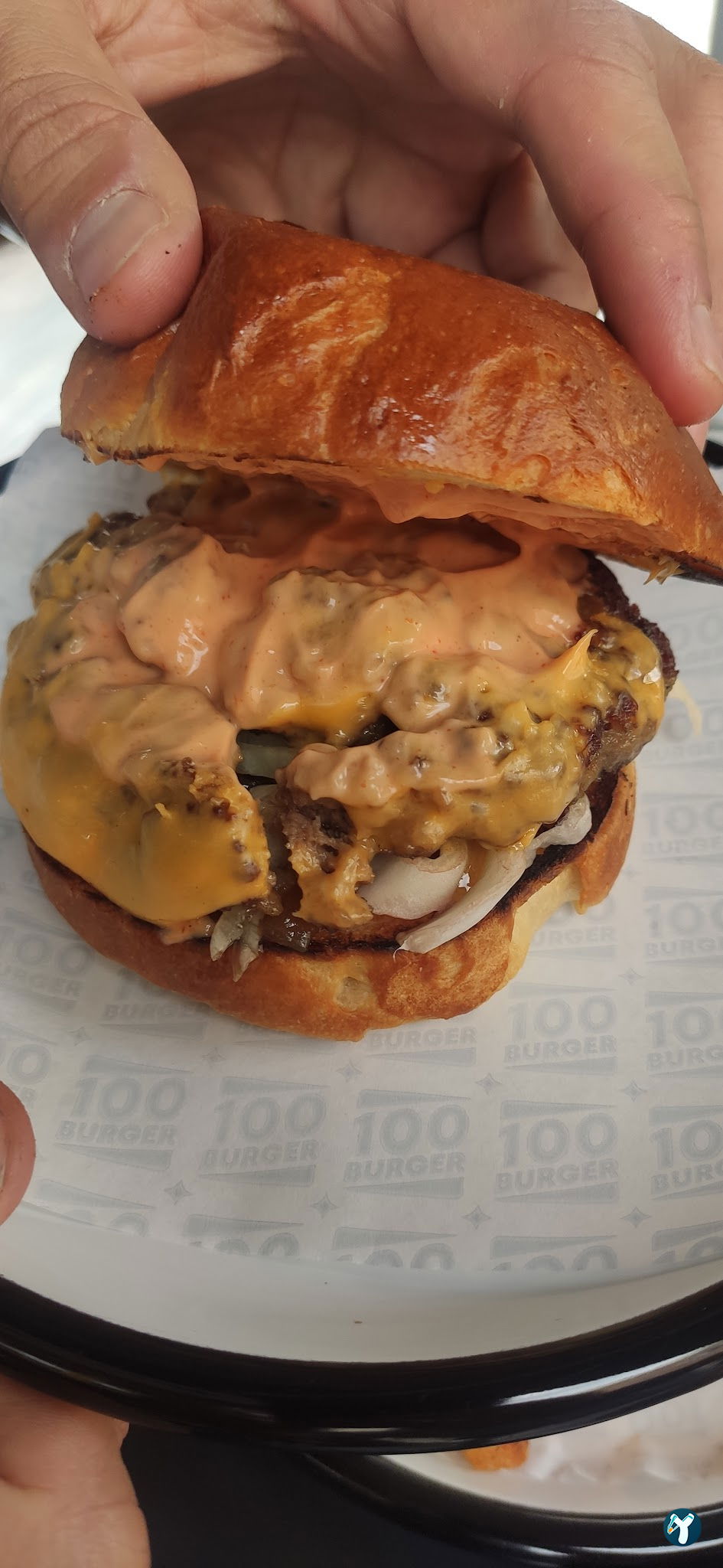 100 Burger-Emek