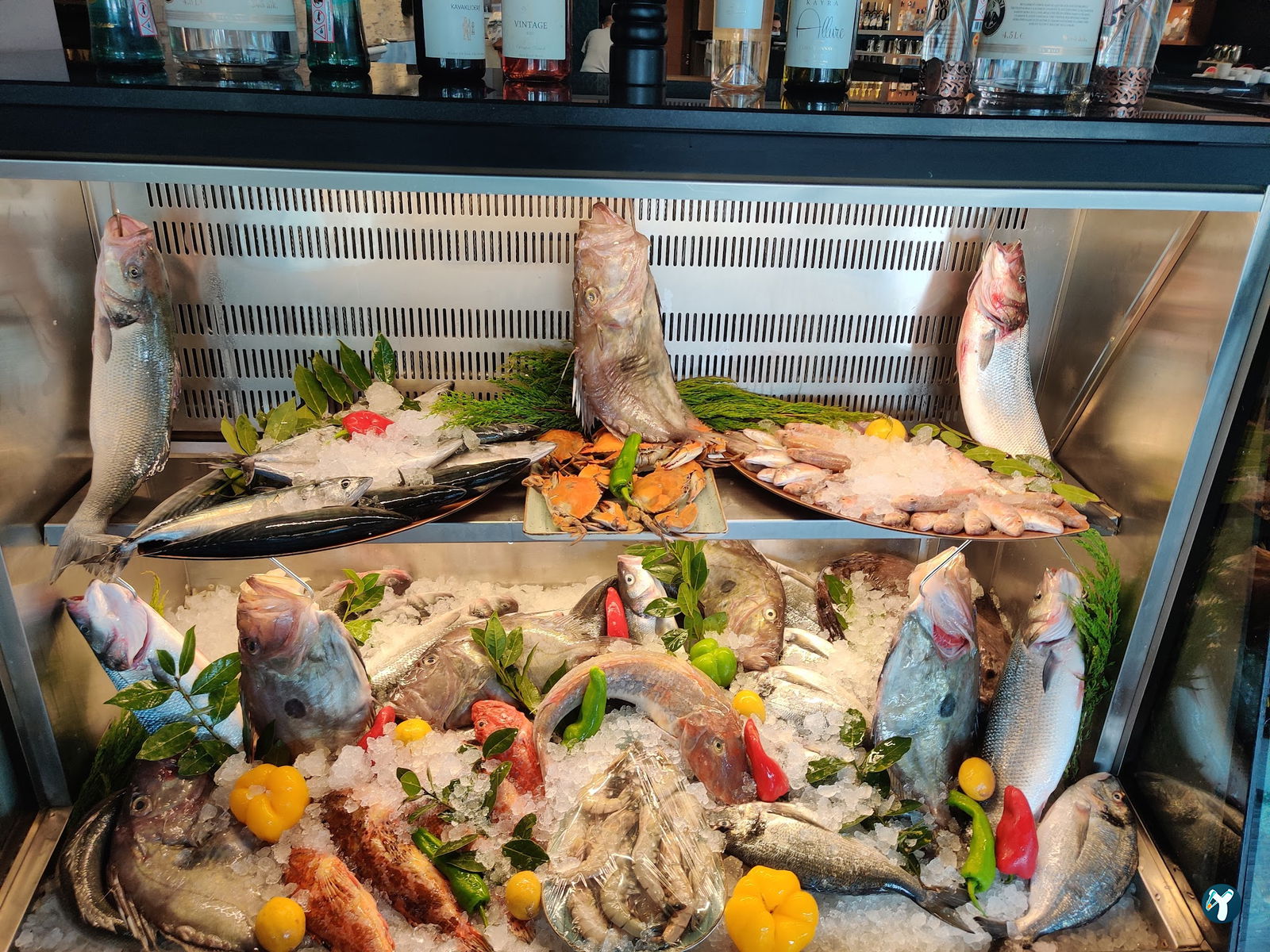 Park Balık Restaurant Çekmeköy