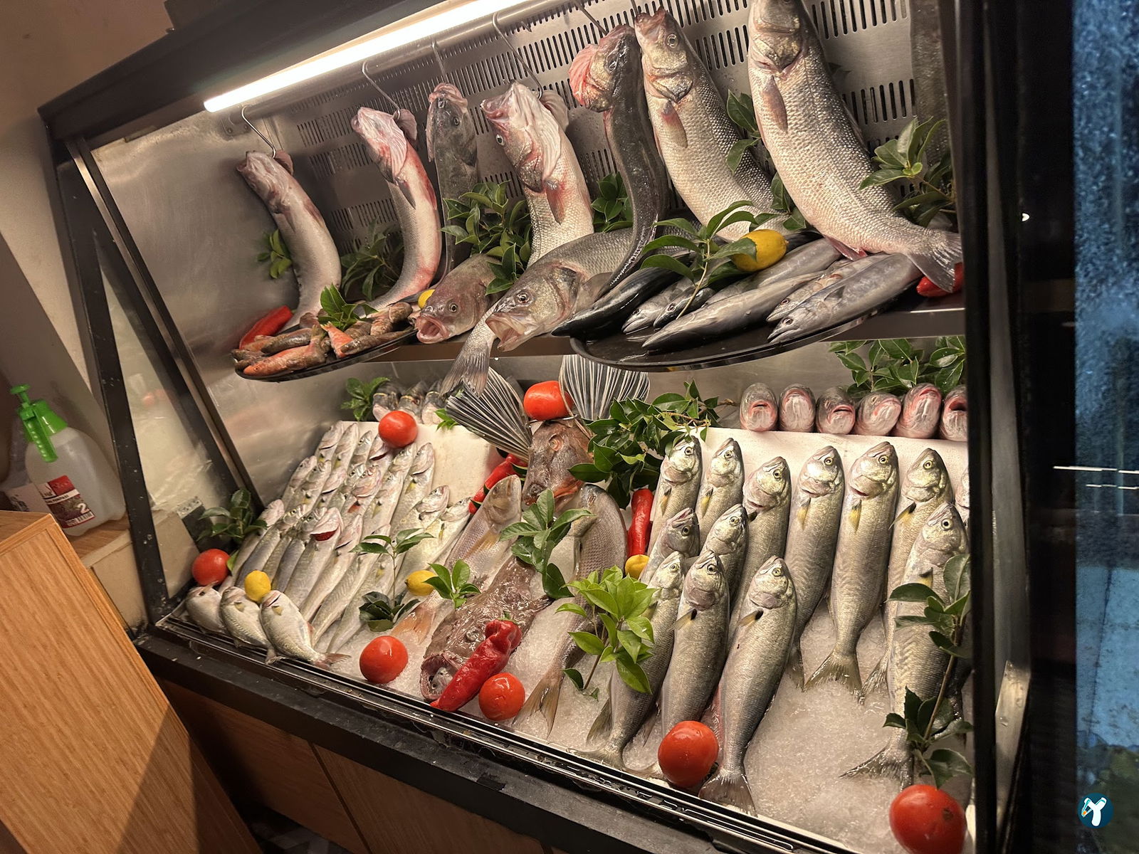 Park Balık Restaurant Çekmeköy