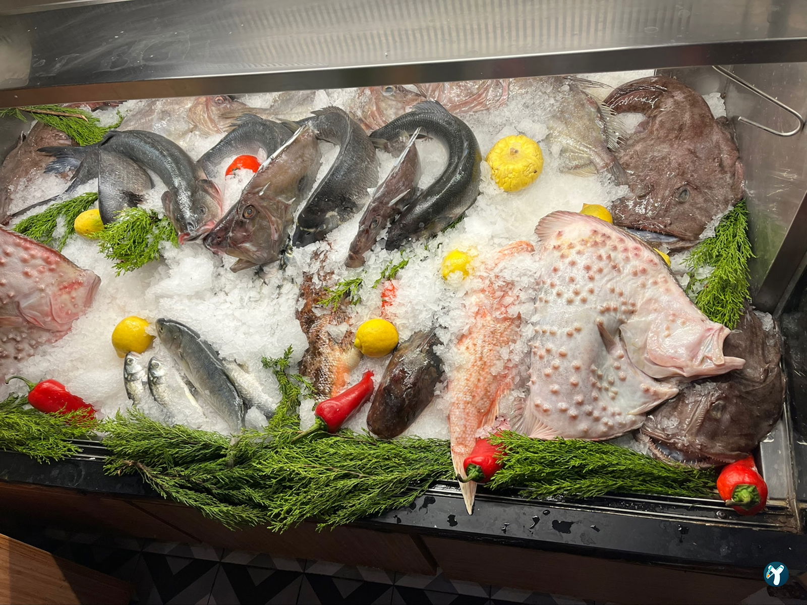 Park Balık Restaurant Çekmeköy