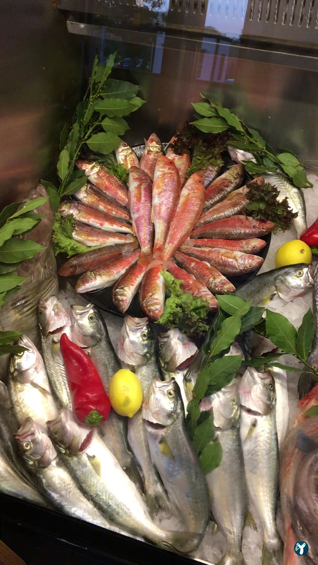 Park Balık Restaurant Çekmeköy