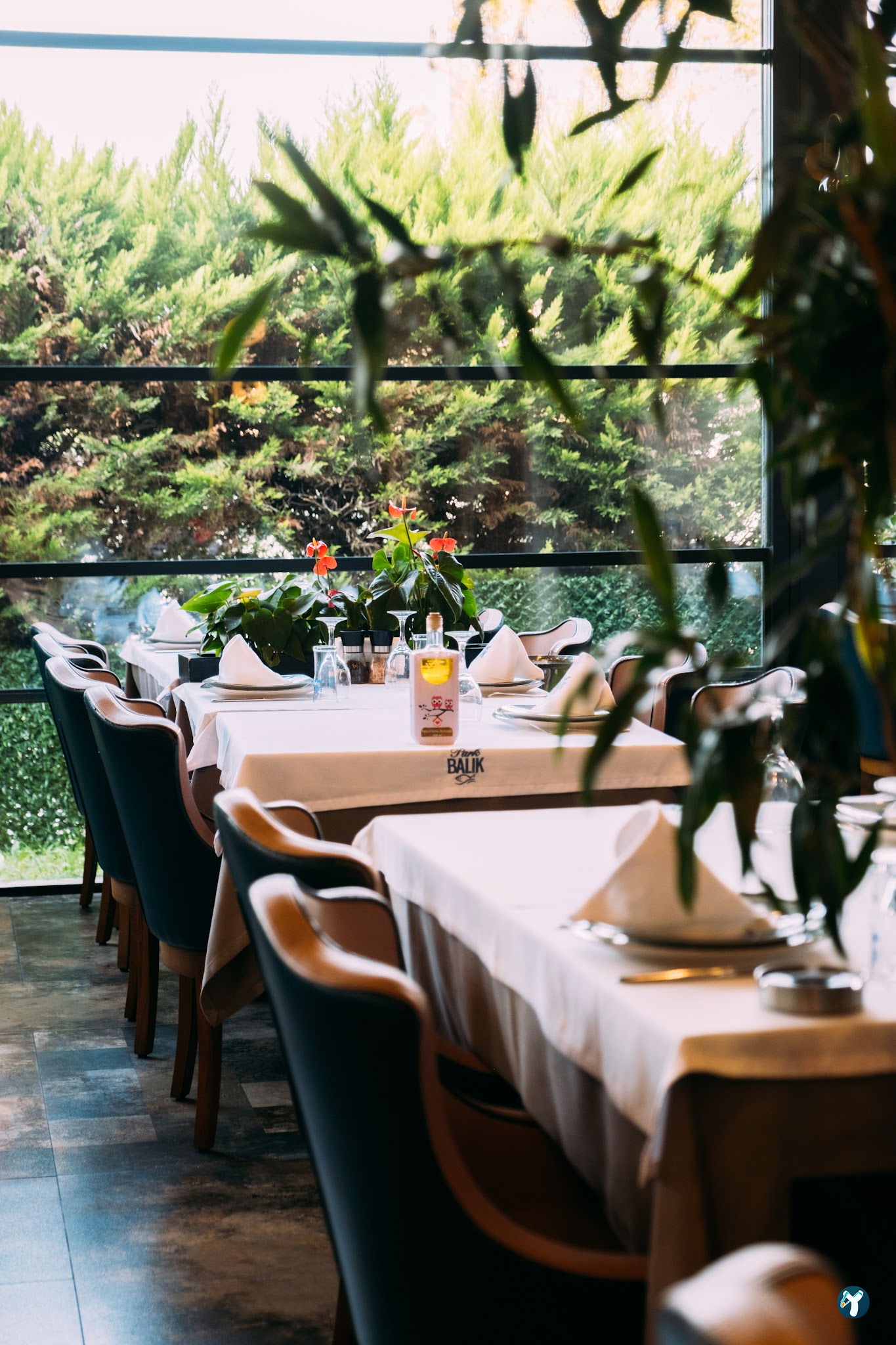 Park Balık Restaurant Çekmeköy