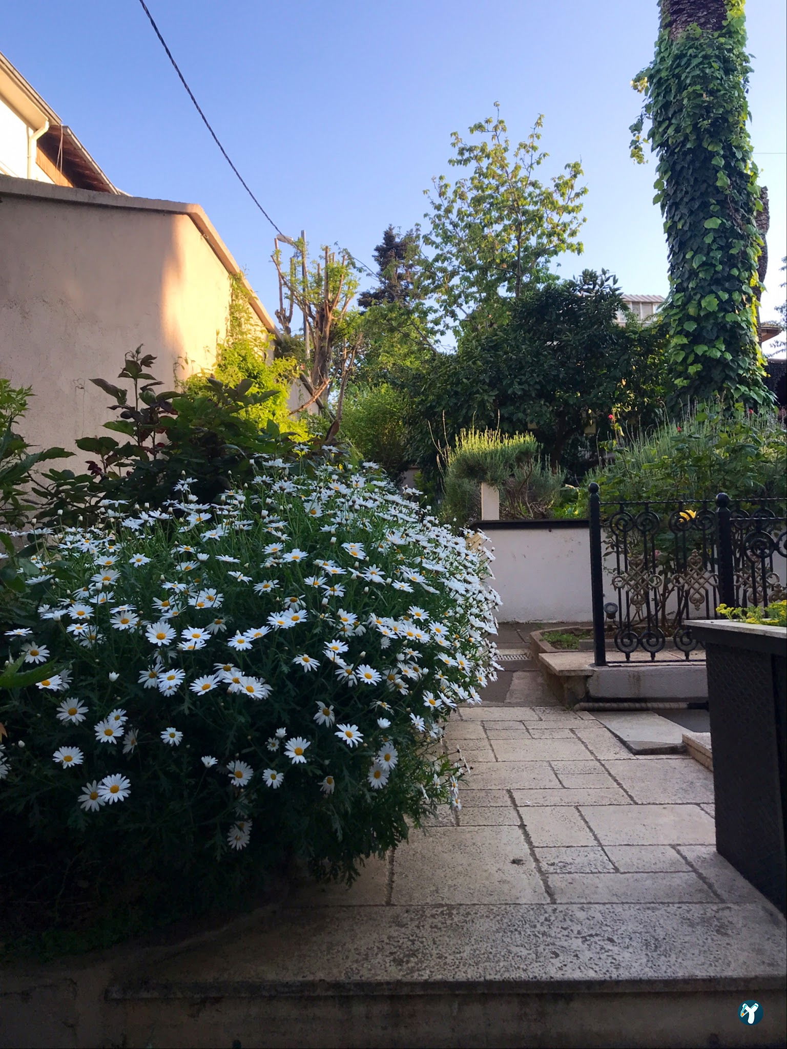 No:2 Garden Restaurant ( By Şükrü )