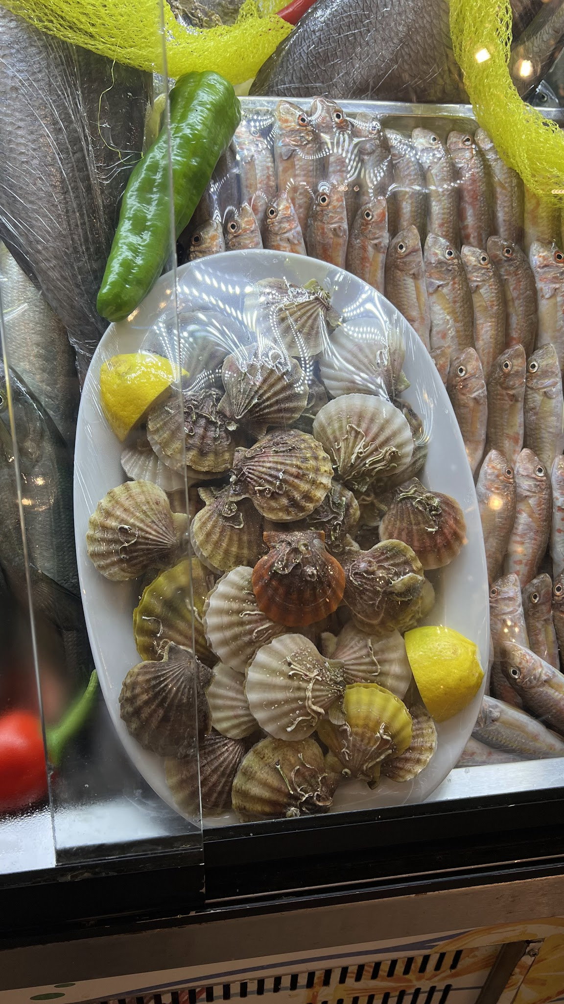 Foça Balık Küçükyalı