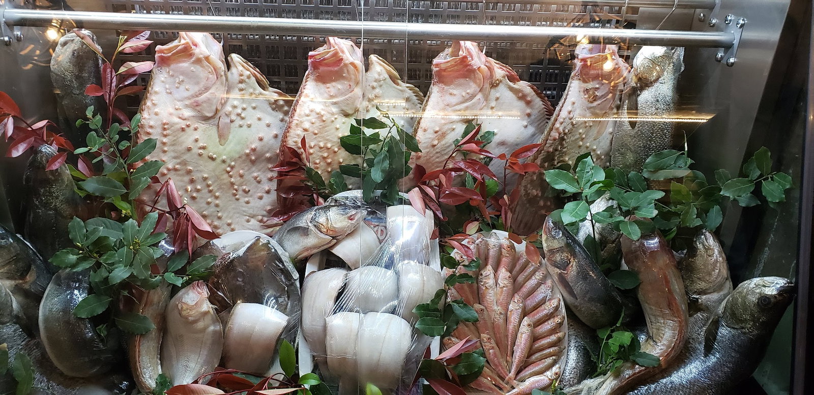 Foça Balık Küçükyalı