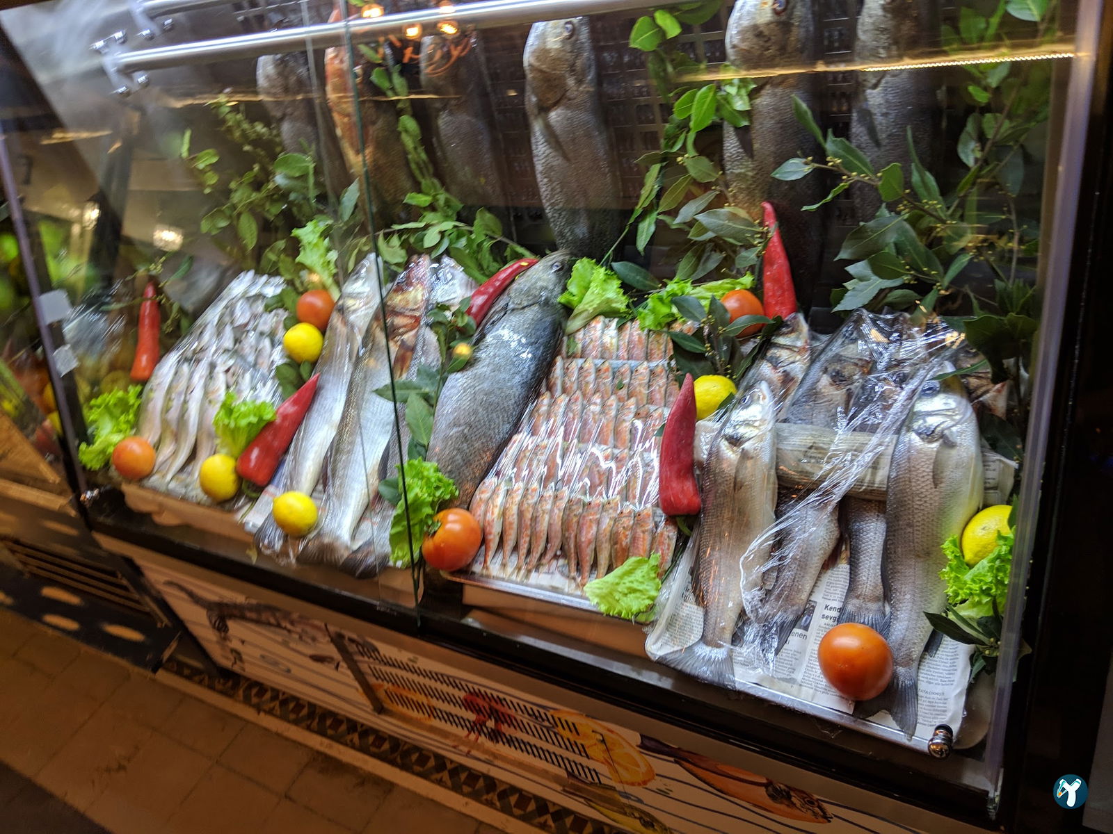 Foça Balık Küçükyalı