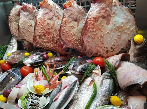 Foça Balık Küçükyalı resimleri Foça Balık Küçükyalı resimleri
