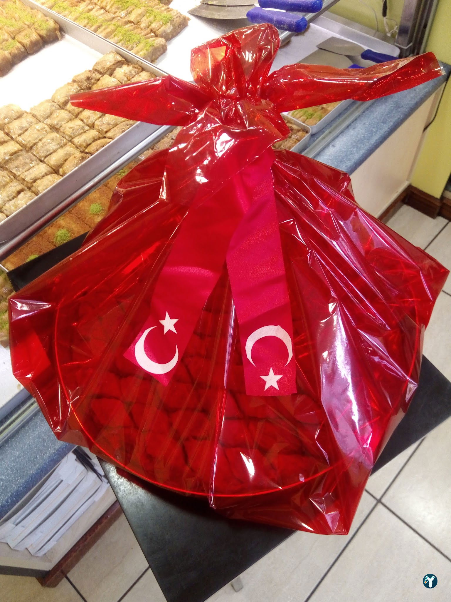 Balaban Tekirdağ