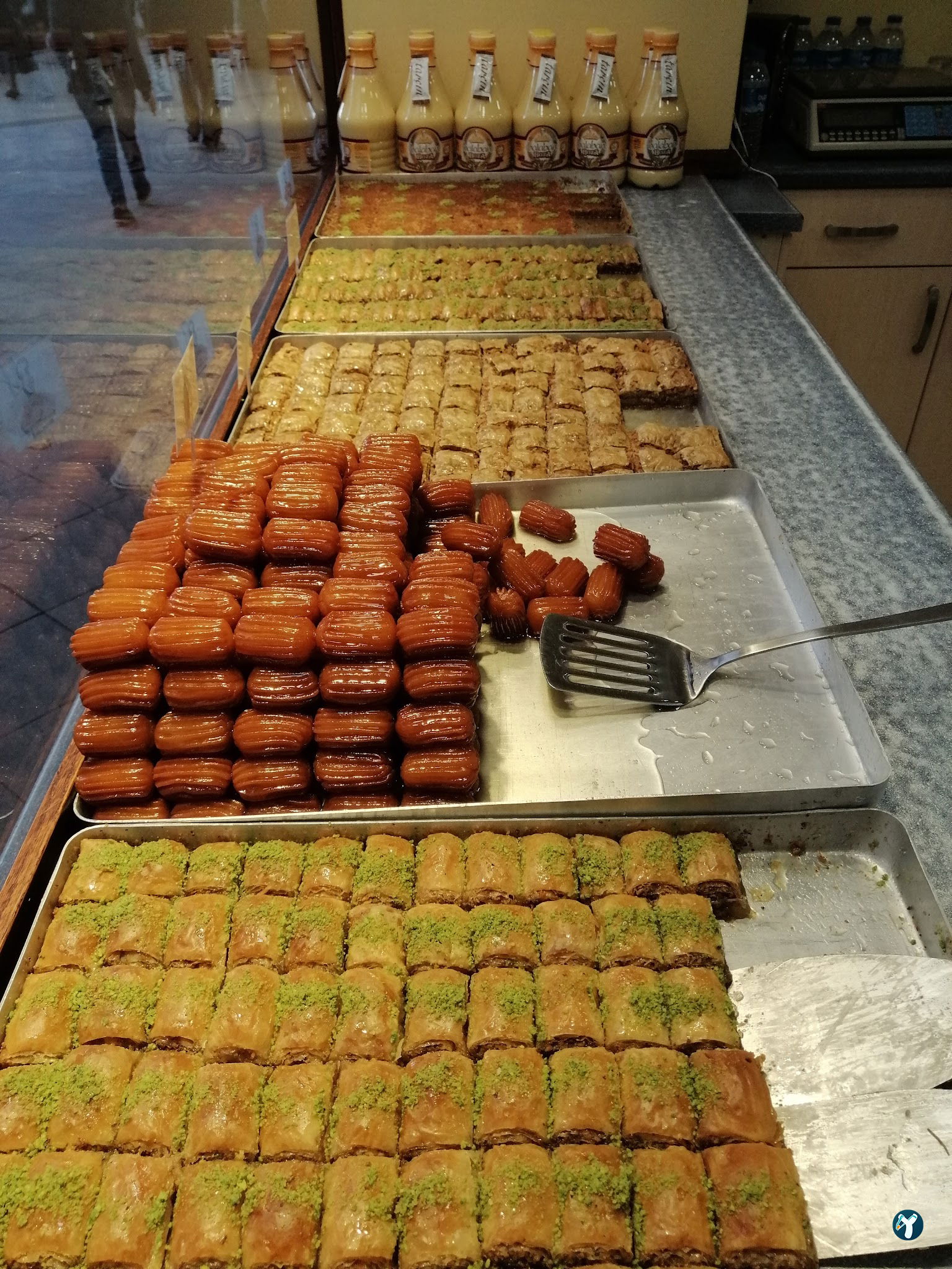 Balaban Tekirdağ