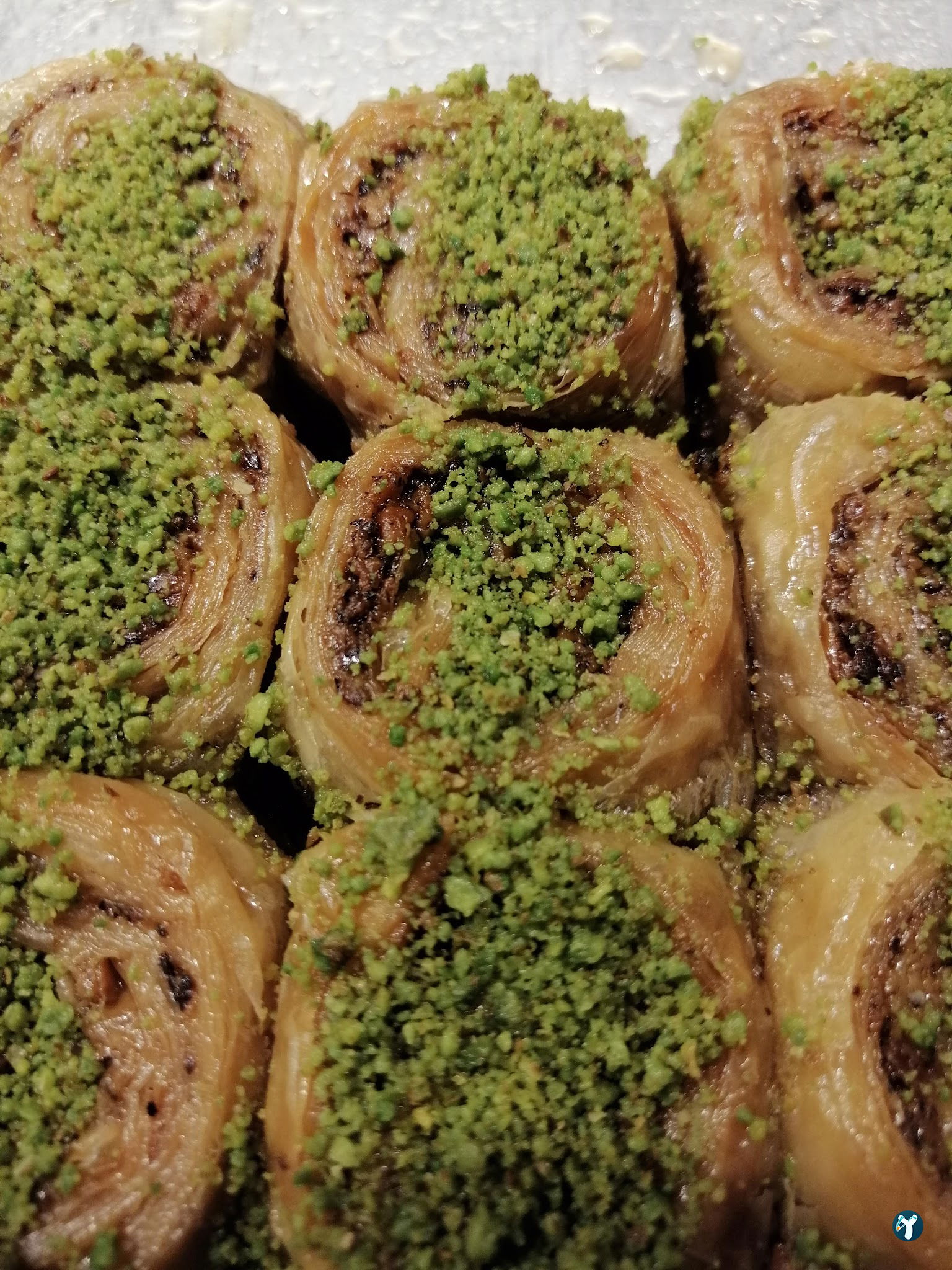 Balaban Tekirdağ