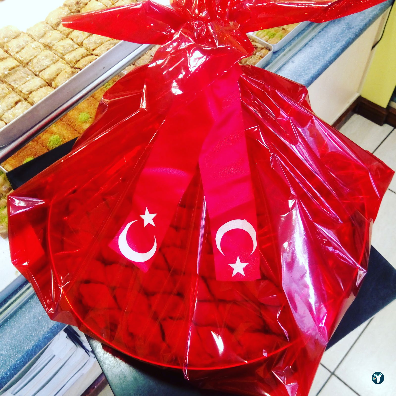 Balaban Tekirdağ