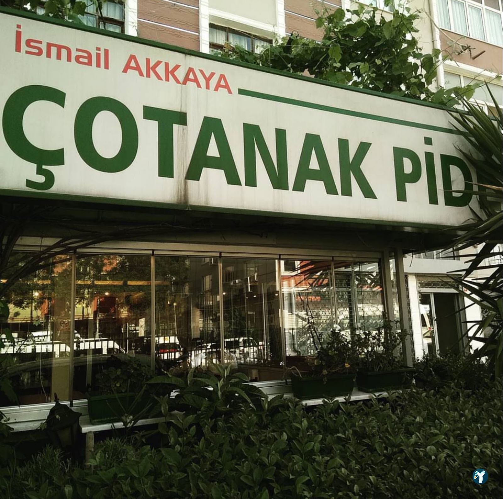 Çotanak Pide