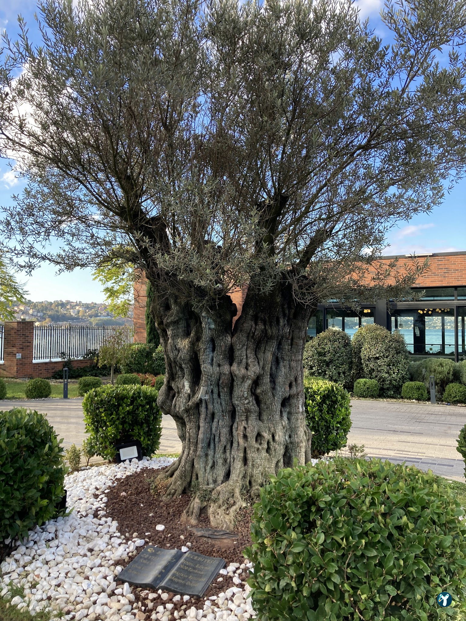Gümüşsuyu Restoran