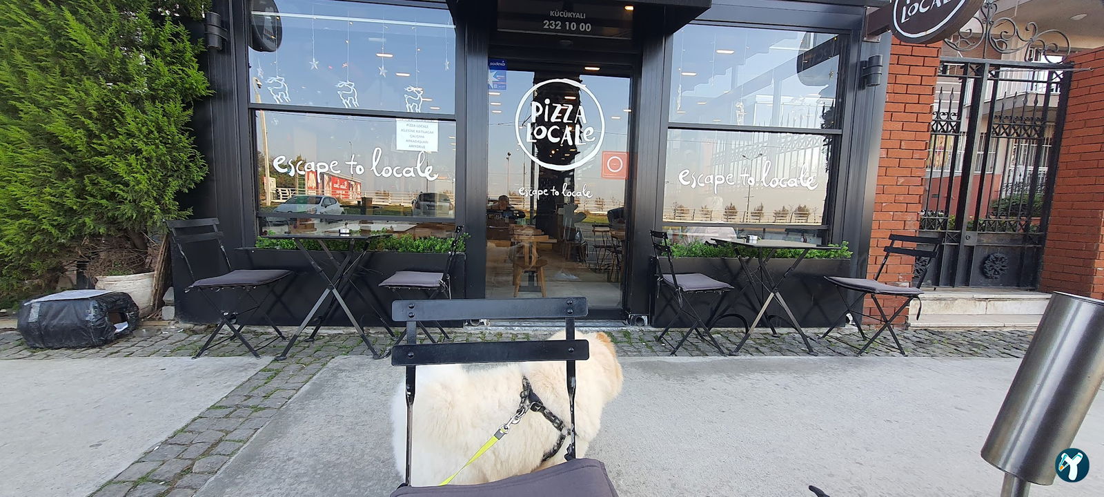 Pizza Locale Küçükyalı