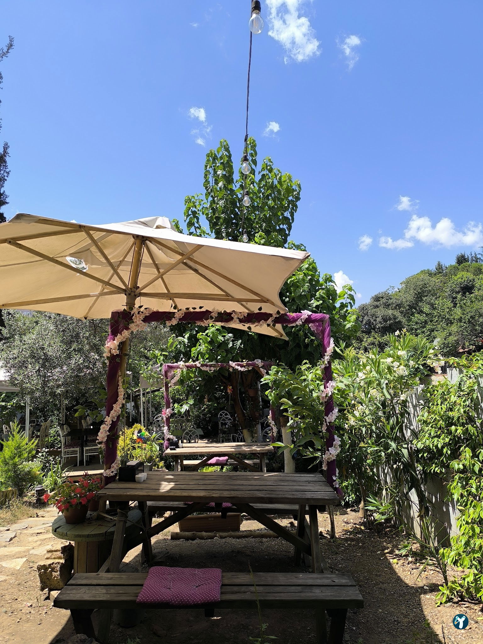 Saranın Bahçesi