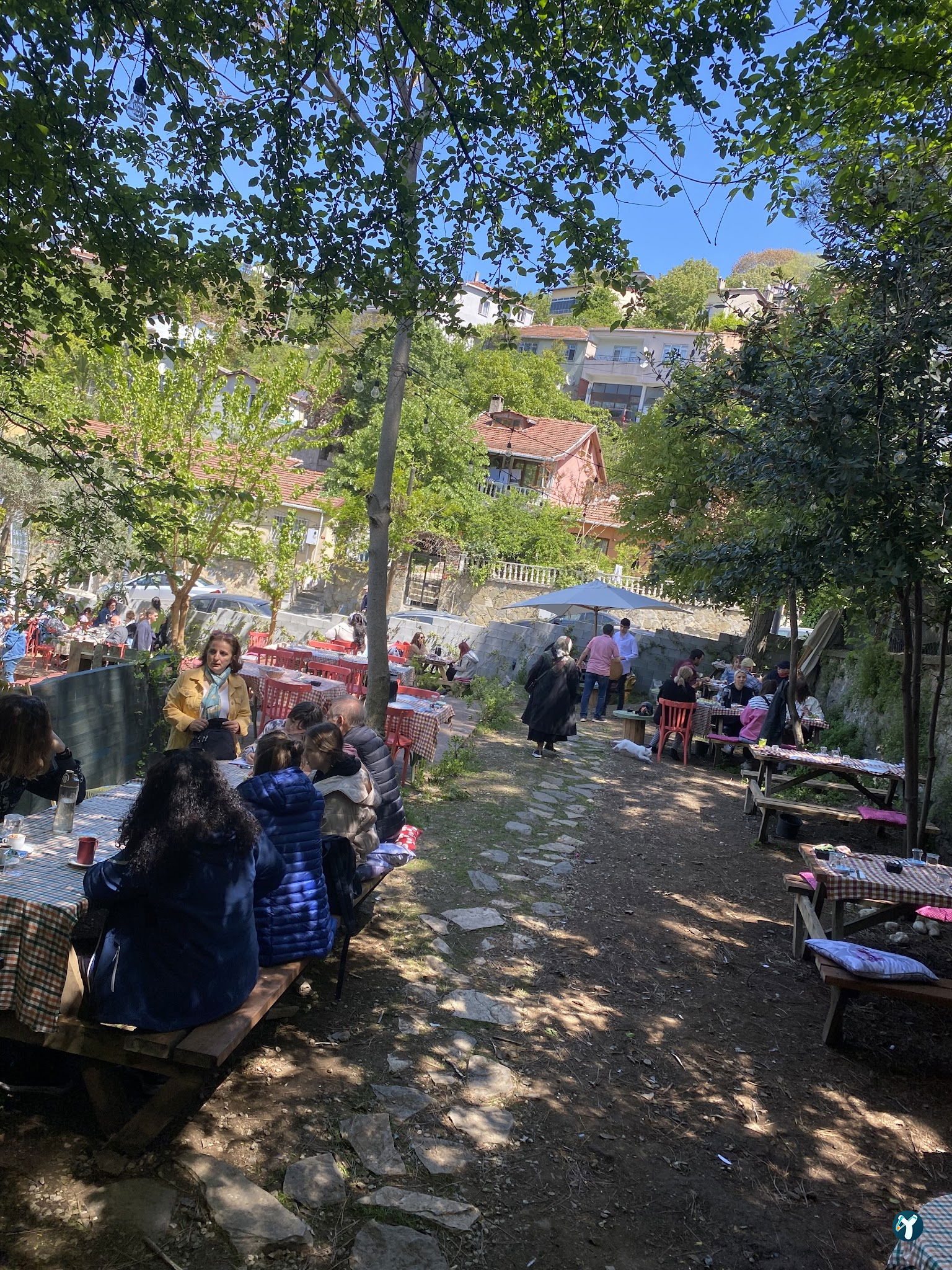 Saranın Bahçesi
