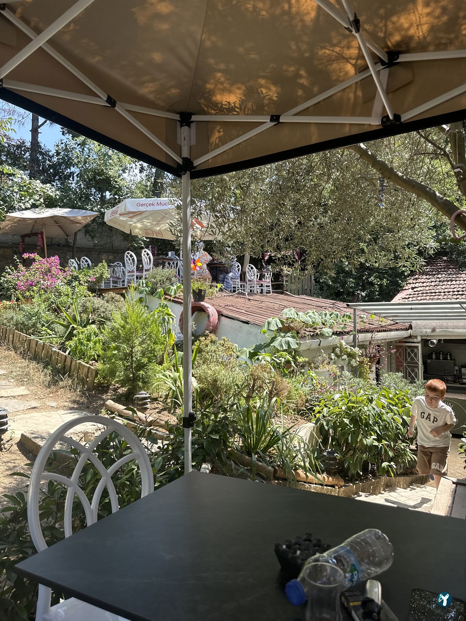 Saranın Bahçesi